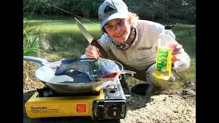 Monster Catfish - Catch n Cook! HD