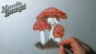 Fly Amanita Drawing 🍄