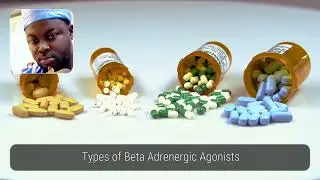 overview of beta-adrenergic agonists