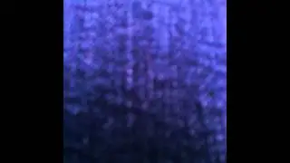 Knorretje  2014 02 25 18 01 51