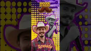&Eacute; revoada ou&ccedil;a agora bigode do Piseiro #piseiro #piseiroestourado #playvaquejada #musicanova