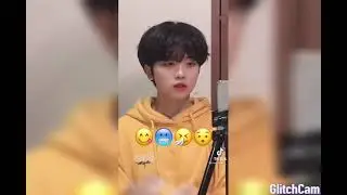 Tiktok hansamini