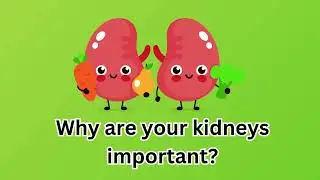 Kidney Health Awareness Video