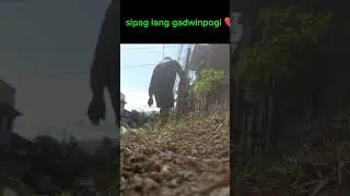 Gawa ka kami mga damo malapit sa dennis  1 Po ❤️❤️❤️🥳🙏