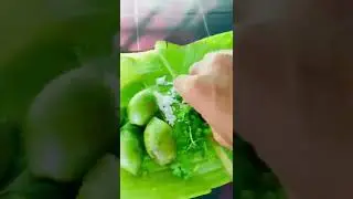Indian olive / Jalpai / Jaitun / Jolopi