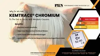 PHN&reg; KemTRACE&reg; Chromium Metabolic Horses 2024