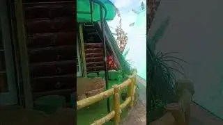 WOW #viralvideo #reels #travel #travelvlog #youtubeshorts