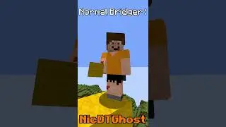 Normal Bridger VS GOD Bridger #nicdtg #minecraft #valk #valkryves #minecraftsmp #minecraftshorts