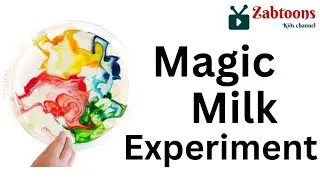 Milk Colour Disperse Experiment | Magic Milk Colour Changing Science Experiment |@zabtoons