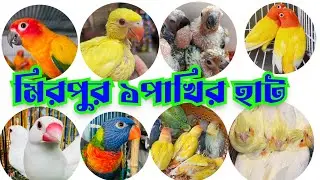 মিরপুর ১পাখির হাট ককটেল পাখিকে ধামাকা অফার বাংলাদেশের বড় পাখির হাট  mirpur pakhir hat 2026