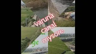 VARUNA canal🌁Hidden🎢Mysore-Banglore/National Highway-17@ My village BELAVATTA/Irrigation➡️82villages