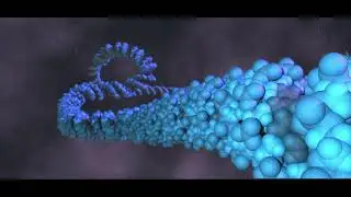 Animated DNA Demo