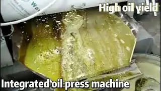 Operation video of rapeseed oil press and filter integrated machine from Henan Glory Company