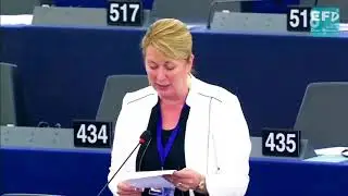 Tackling odometer fraud requires cross-border solutions - Jill Seymour MEP