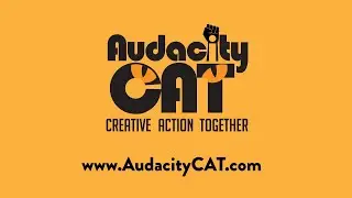 The Audacity - Protest Singing - Rockand, ME - February 8, 2025