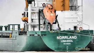 Seeschiff NORRLAND l&ouml;scht Zellstoff Emden cargo seaship discharge celulose C4KF2 IMO 9358278 BJ 2006