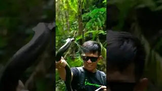 Spitting Cobra Spits Venom on face 😬 #savesnake #cobra #viral #natgeowild #discovery