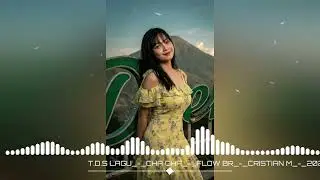 T.D.S_LAGU_CHA CHA‼️FLOW BR#viraltiktok🔥REMiX(Cristian M_-_2026