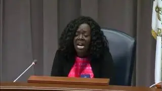 2018 Cobb Democrats Candidate Forum - House District  37