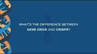 What's the difference between gene drive and CRISPR?