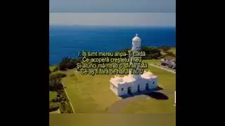 Negativ 🕊De nu ai fi a mea scăpare! ton mai sus