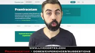 Pramiracetam - Doses, Experiences, and Suggestions