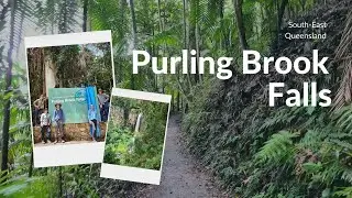 Purling Brook - Springbrook National Park