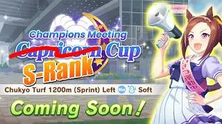 The Idiots Guide to the Capricorn Cup