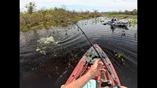 1st Snakehead of 2025