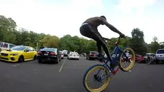 Hollywood in NYC- Boston Bike Life Roaming Dogs Beans & Applesauce