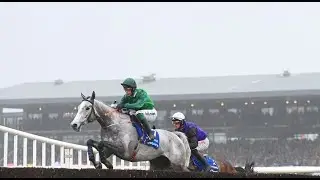 【NAVAN】IRISH HORSE RACE ANALYSIS - CHECK OUT ONE OF THE BEST ☆☆☆ TOO!!