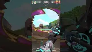 Secret Sova Wallbang ✨