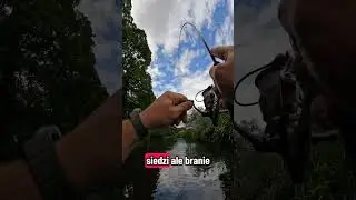 Imago Lures Mamba Monster part 1@imagolures @FrappZetrixGermany