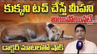 కుక్కని టచ్ చేస్తే మీ పని అయ్యిపోయినట్టే? 🐶⚠️ | Danger Dog | Pets Lovers | Animal Lovers