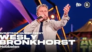 Wesly Bronkhorst - Hobbelen (LIVE) • Muziekfeest op het Plein 2024