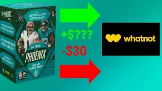 Can you make money buying a blaster and selling it all on whatnot??? Crazy big hits with huge profit