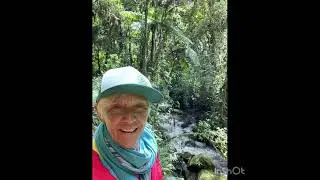 Cacora Columbia