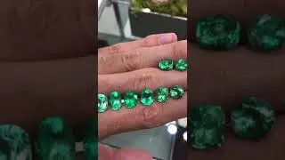 Bright rich green large Colombian emerald cushion and oval cut loose gemstones for sale