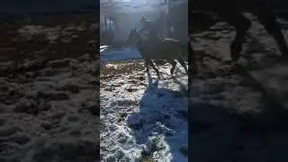 Нурсултан 2020
