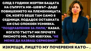 Той Се Изсмя, Когато Подадох Оставка… После Прочете Писмото Ми. Написаното Му Изтръгна Усмивката