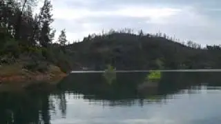 Shasta catfish spoof