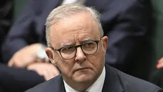 ‘Complete shemozzle’: Albanese’s hate speech laws in question