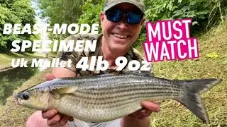 SPECIMEN MULLET RIVER PLYM-SOUTH WEST DEVON-UK MULLET FISHING-CATCH & RELEASE-PAUL BASSMAN