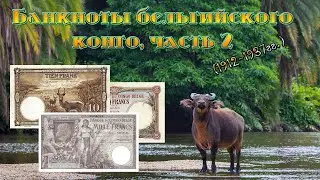 Банкноты Бельгийского Конго, часть 2. 1912-1937гг. // Коллекция банкнот