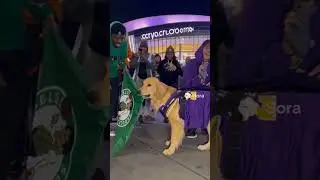🤩 When competition meets comedy &mdash; that&rsquo;s an instant win!#GameDayFun #LOLmoment #ViralEnergy
