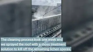 West Auckland Roof Cleaning, one of the worst we've seen.