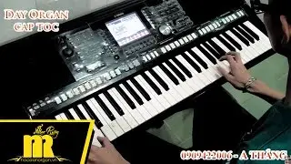 Học Đ&agrave;n Organ Cấp Tốc TPHCM - Intro Anh Muốn Em Sống Sao  -  Online-Cơ Bản-N&acirc;ng Cao-★0909422006★