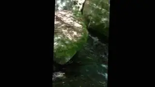 Quehanna Wild Area Backpacking Adventure