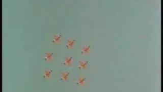 The Red Arrows in classic formation