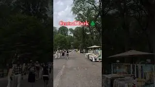 Discover the Magic of Central Park | New York&rsquo;s Green Heart #newyorkcity #centralpark